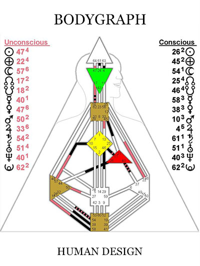 Human Design Bodygraph Template